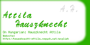 attila hauszknecht business card